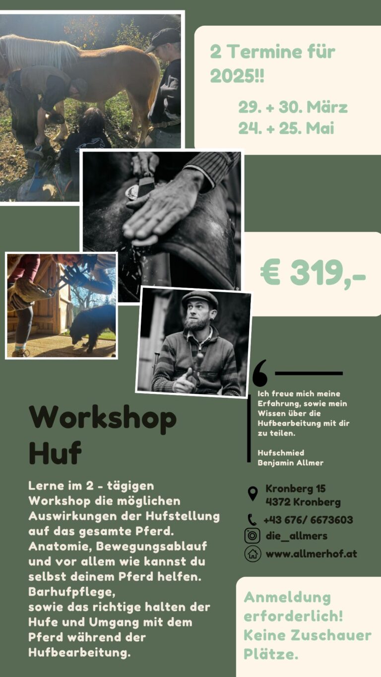 Workshop HufHufeisen